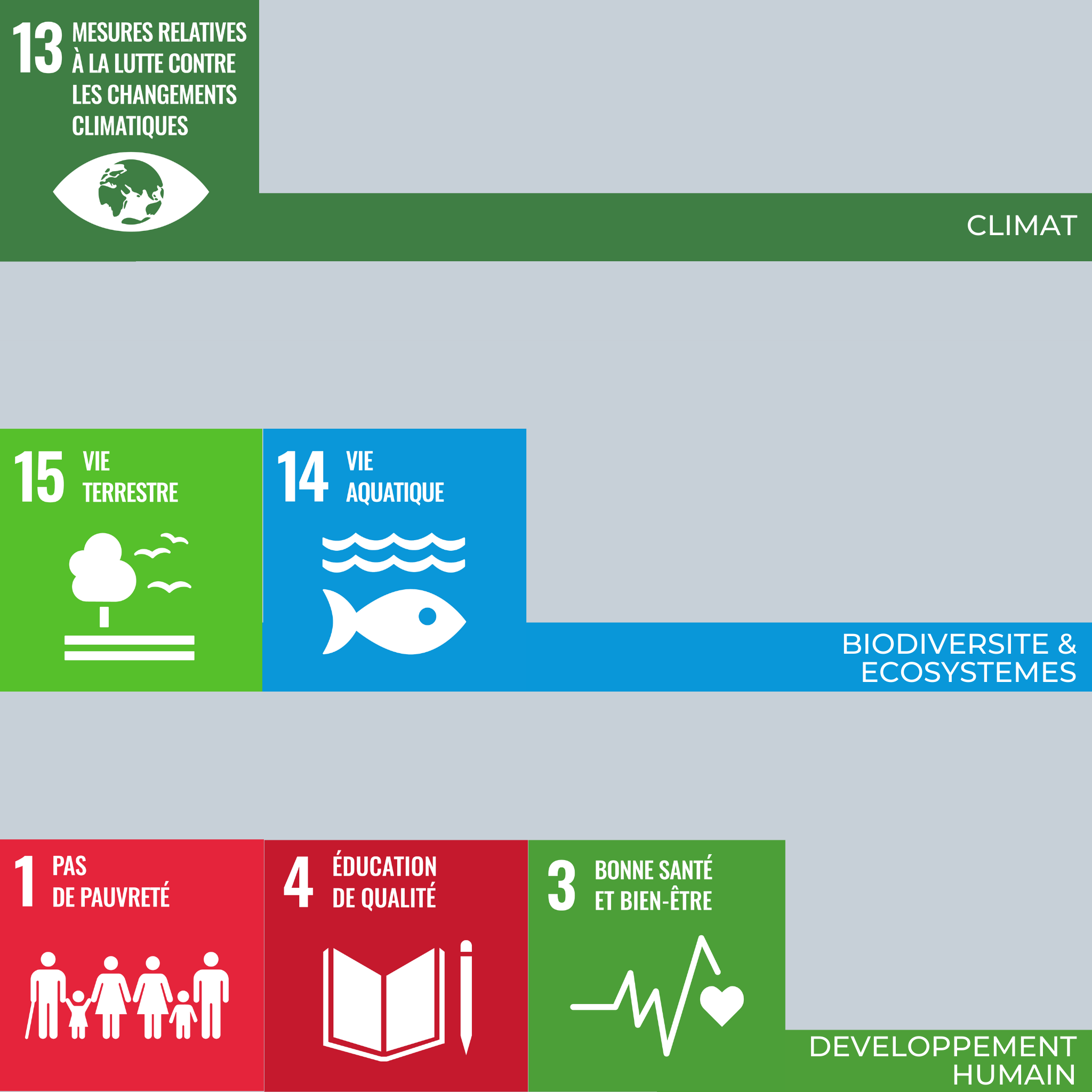 Schéma - positionnement objectifs -Ecohumaniste